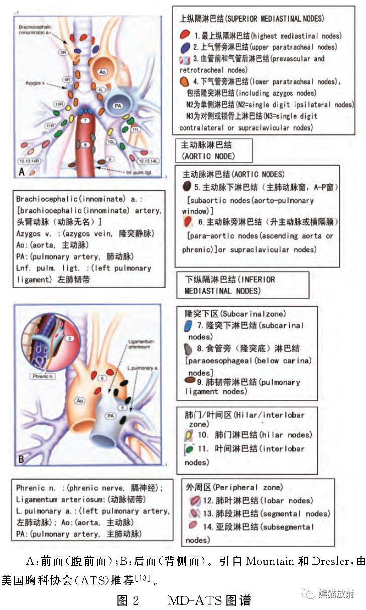 肺腺癌新旧分类对照,纵隔淋巴结分区,肺癌tnm分期