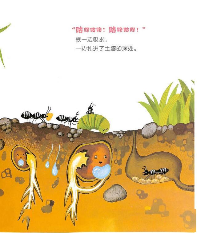 有声绘本故事咕咚咕咚种子喝水