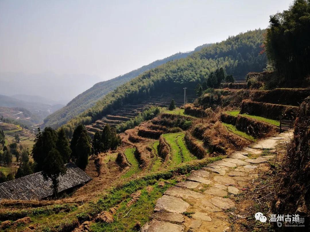 温州瑞安黄金坳古村蒙东岭古道环线穿越风景如画