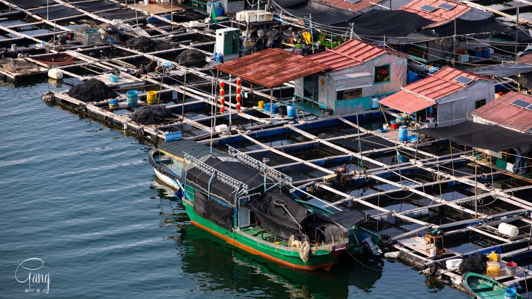 阳春三月的海南,南湾猴岛疍家渔排,海上吉普赛人漂浮的新生活_渔船