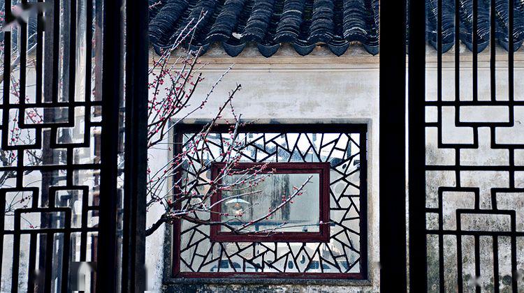 小芽故园风雨前