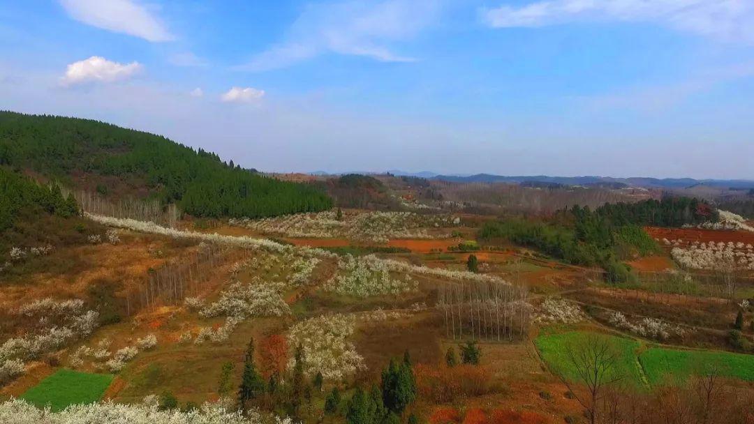 小长假将至襄阳周边这些景色美成了一部大片