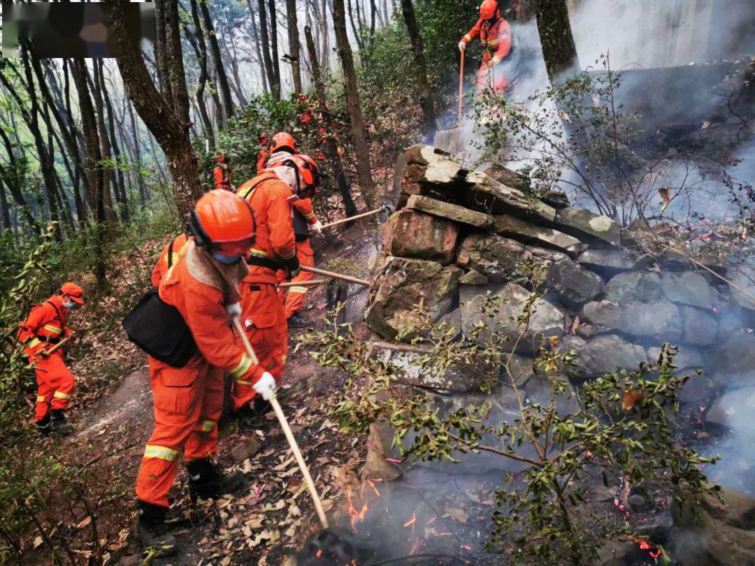 持续更新森林消防队伍重拳扑救西昌森林火灾
