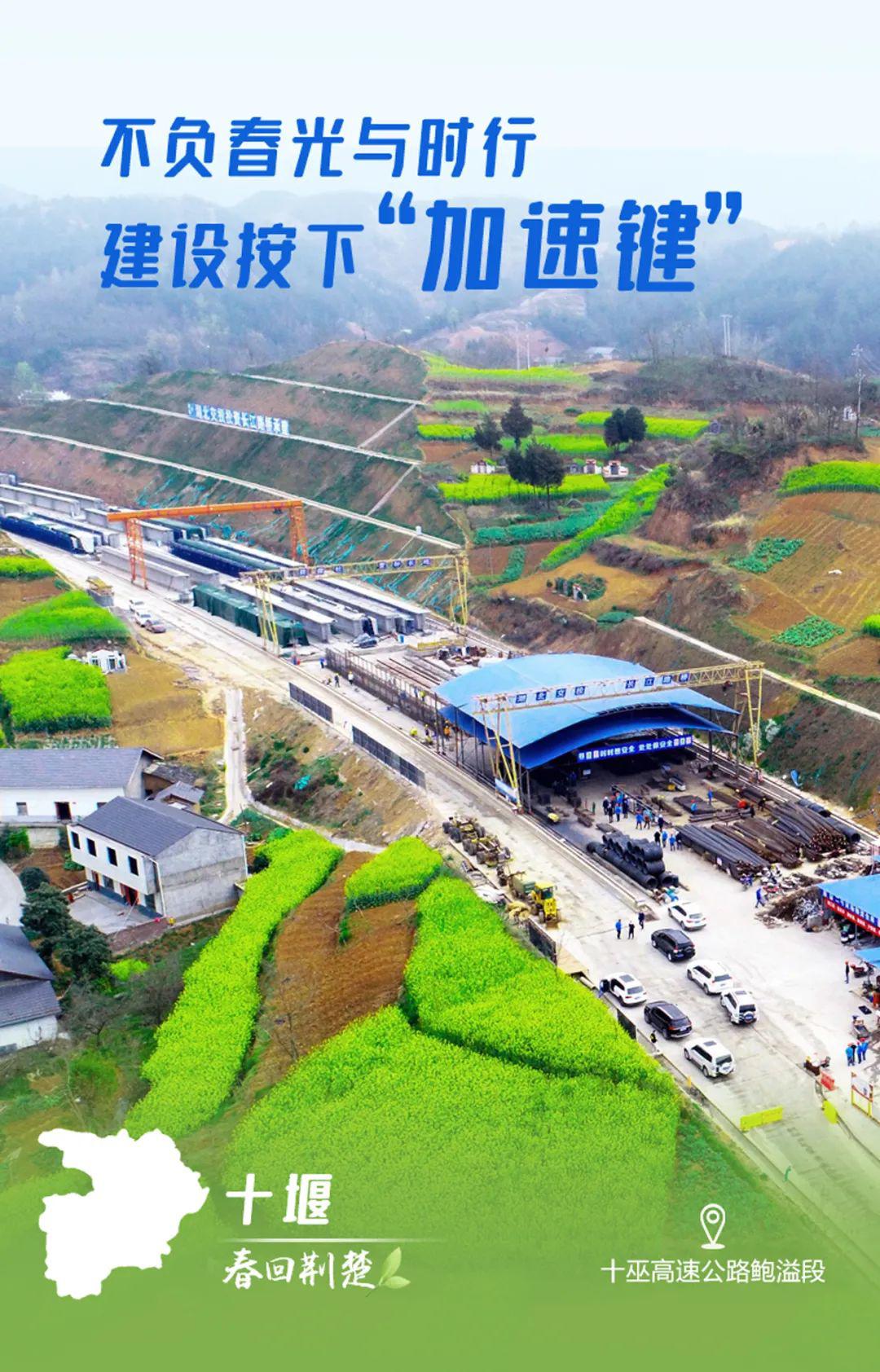 这个春天,弥足珍贵.阴霾散去,春回大地.