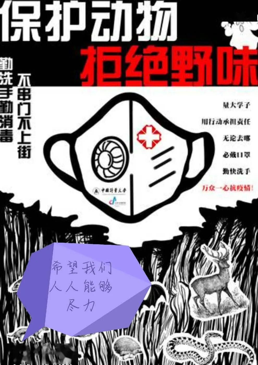 阳光下成长——不平凡的2020年