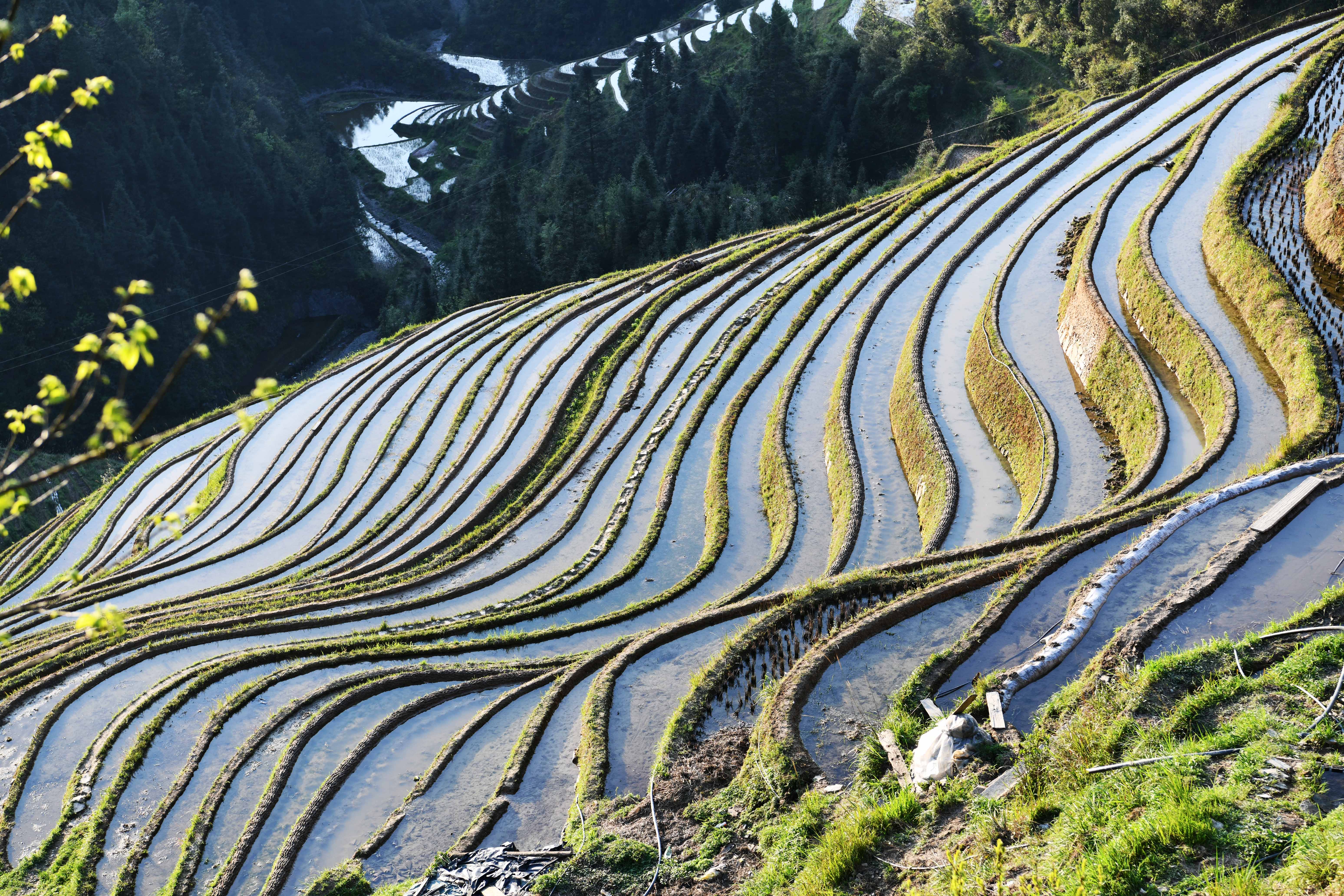 从江梯田风景图片