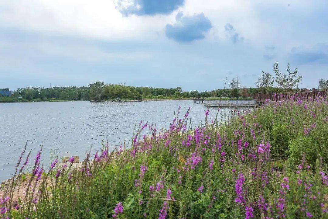 转发绣针河传承大爱岚山的美丽河流