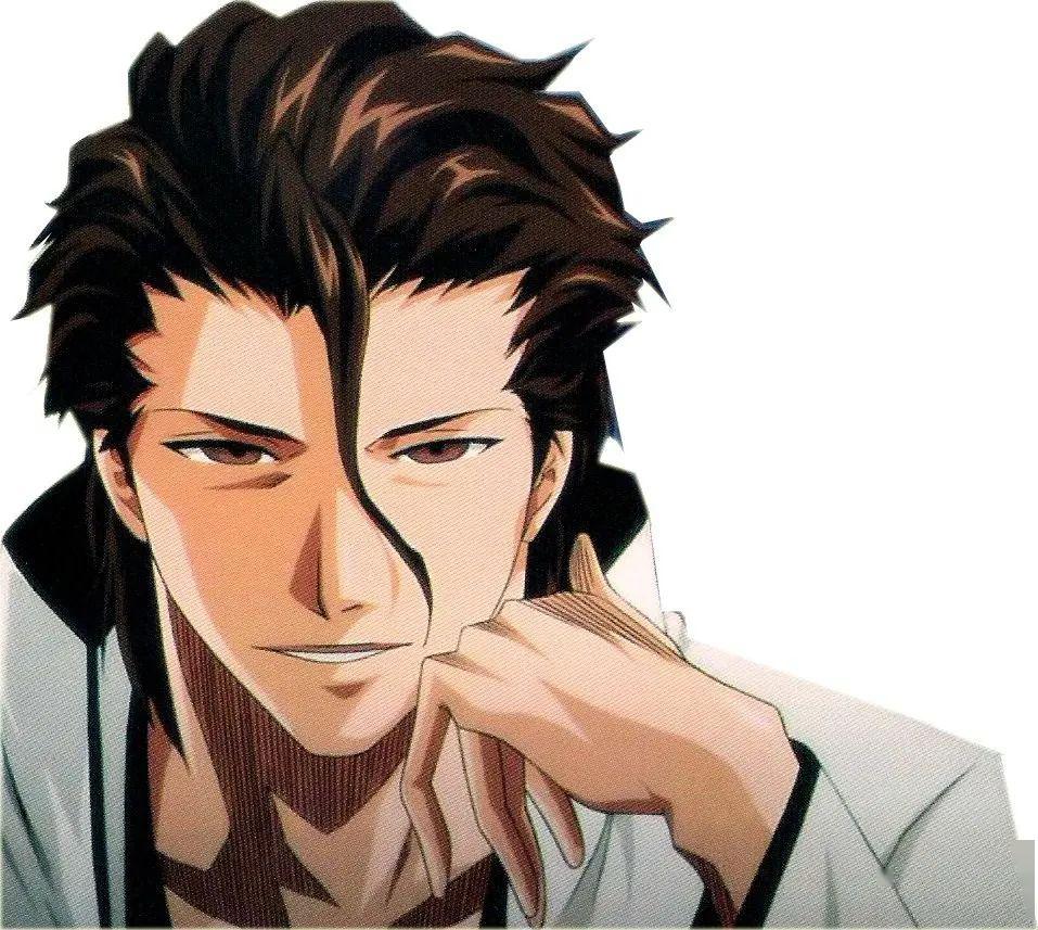 术学院特聘书法老师,后叛离尸魂界逃至虚圈,创造十刃并成为虚圈统治者