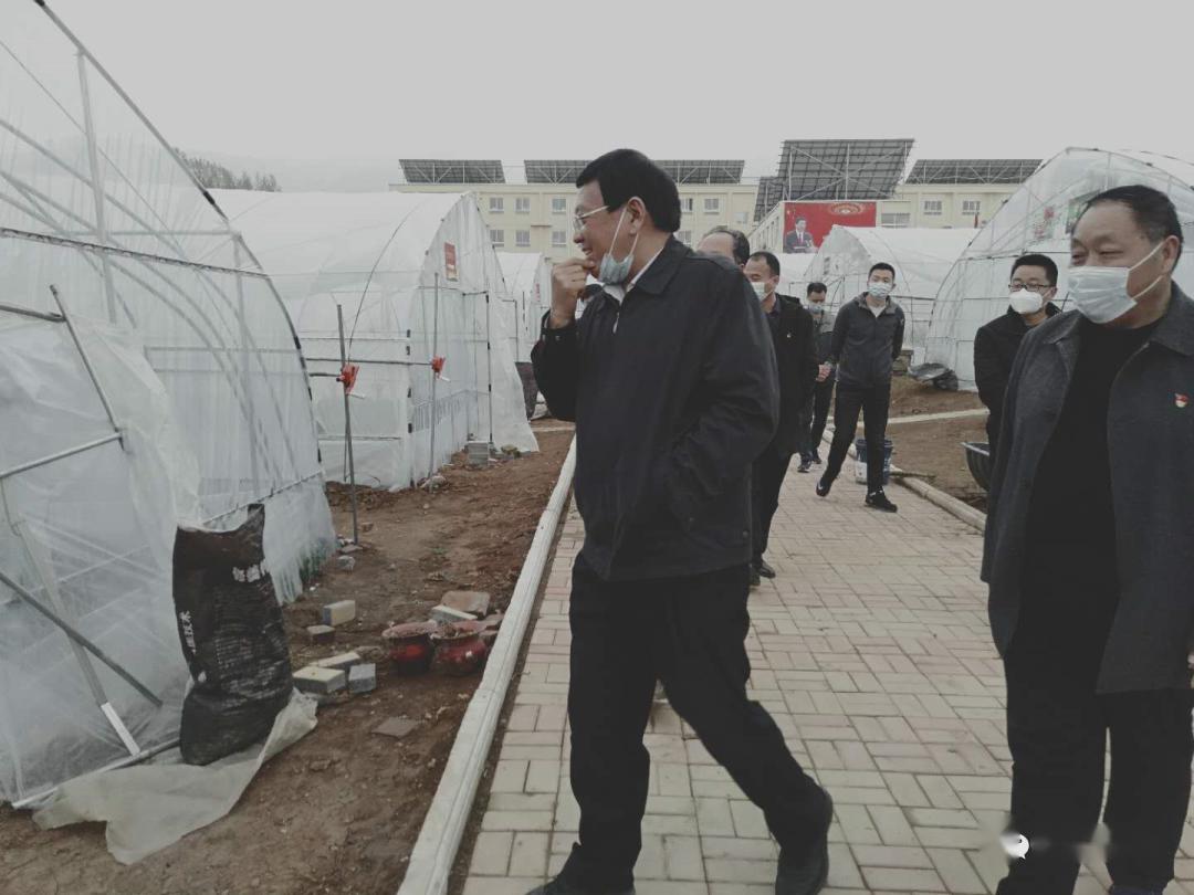 李钢锤对我市乡村振兴和沟域经济工作推进情况进行调研