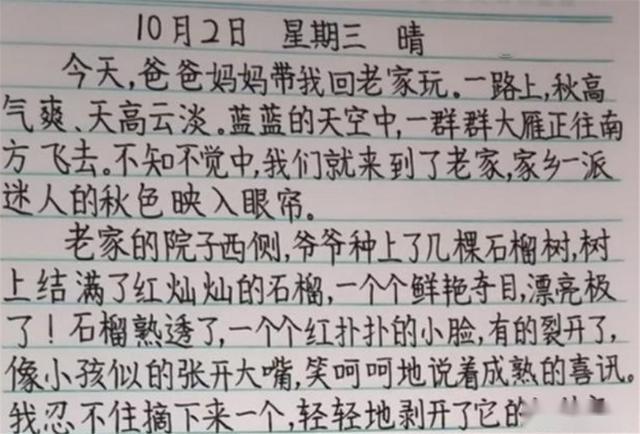 小学生作业被老师晒出来,工整如打印体,网友:我们班里也有一个