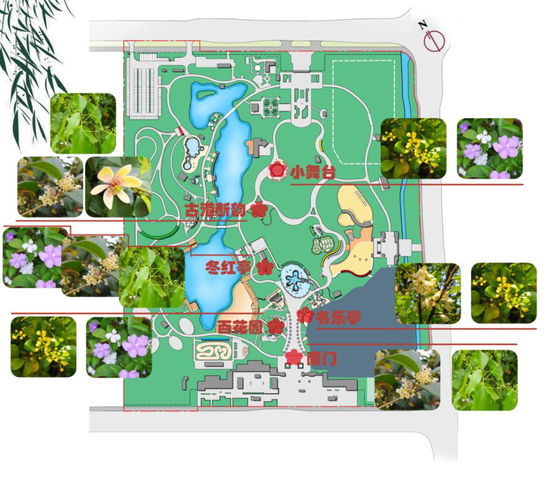 欢迎来广州市儿童公园闻香觅芳踪
