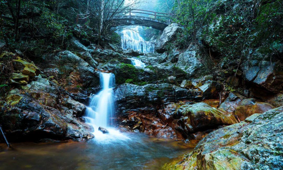 阳明山盛春:在绿意繁花的地方,氧护身心_兰溪