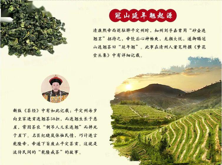 阳泉市直属机关事务管理局推荐:康熙贡茶—冠山延年翘_连翘