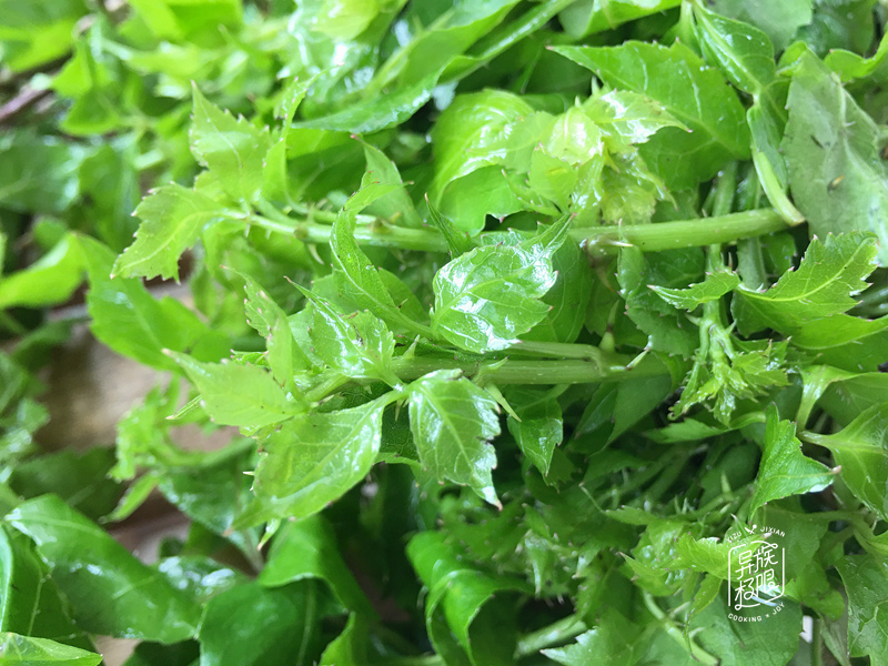 原創在汕頭清明前遇到這種野菜再貴也要買來做湯喝