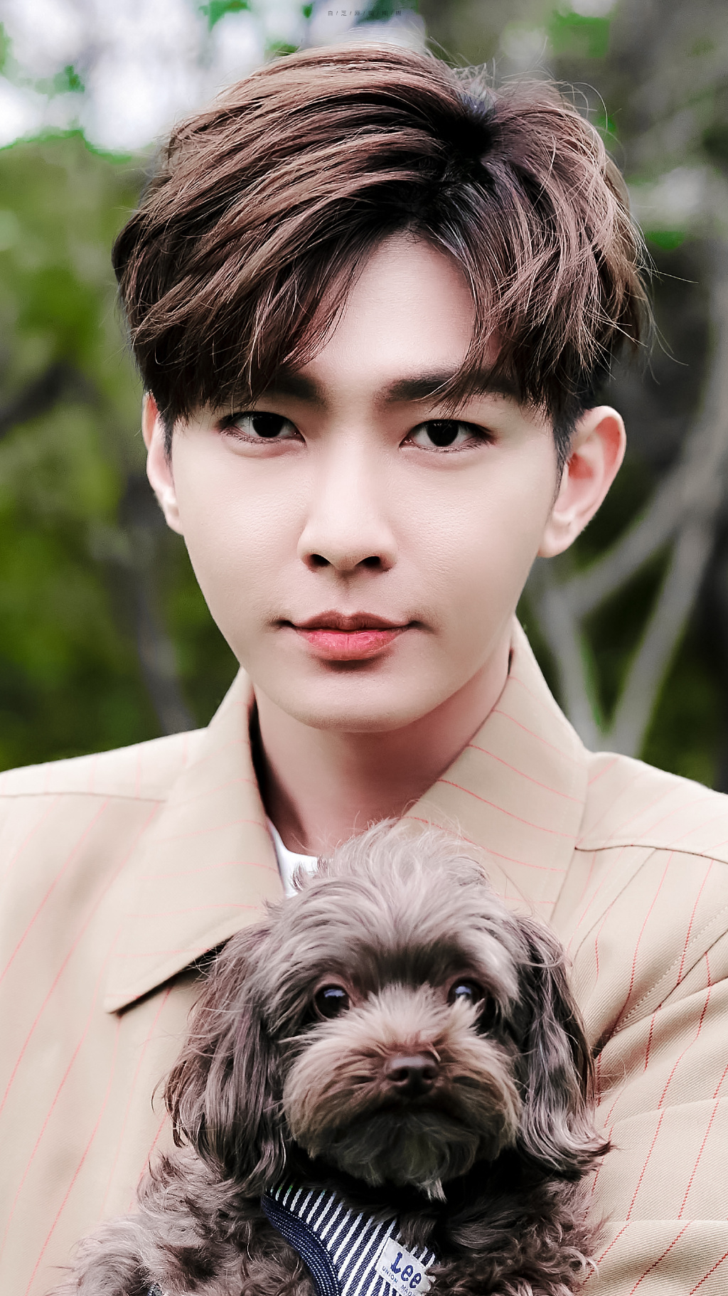 炎亚纶帅气有爱你喜欢吗