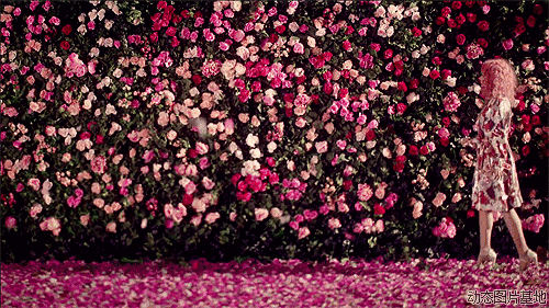 500_281gif 动态图 动图