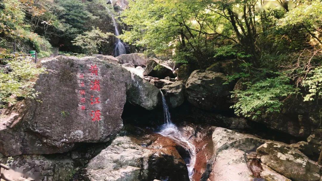 门票买一送一寻春好时节黄浦江源龙王山景区等您来