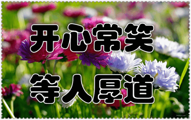 640_404gif 动态图 动图