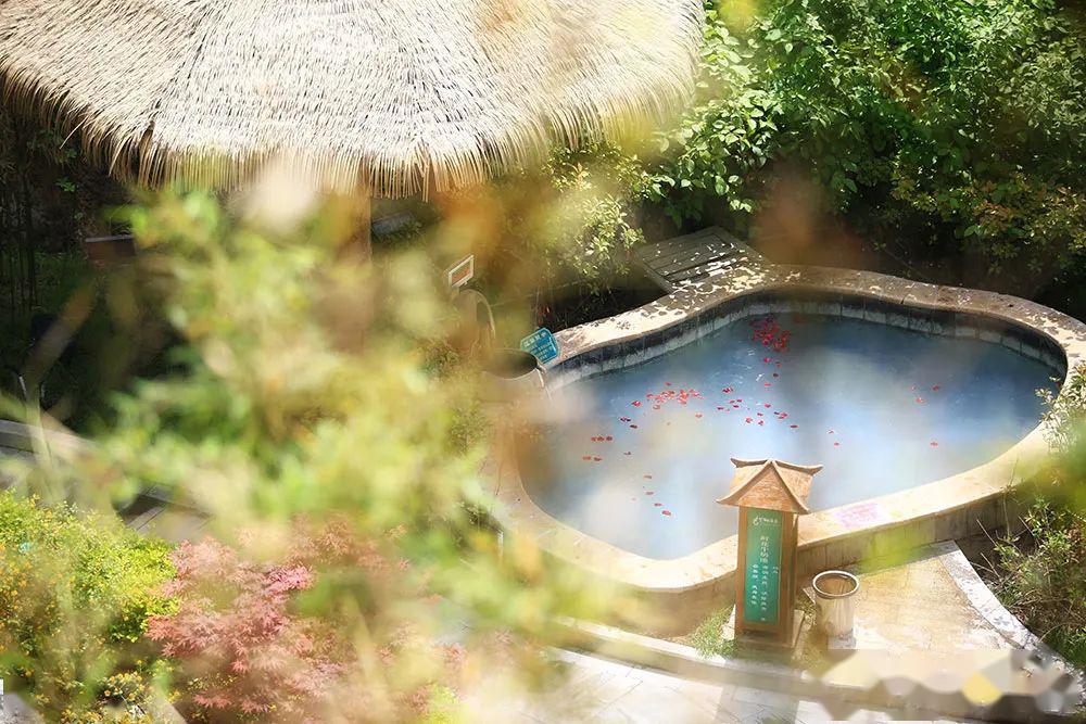 又可以去凤翔温泉洗去疲惫,沐浴春光啦!