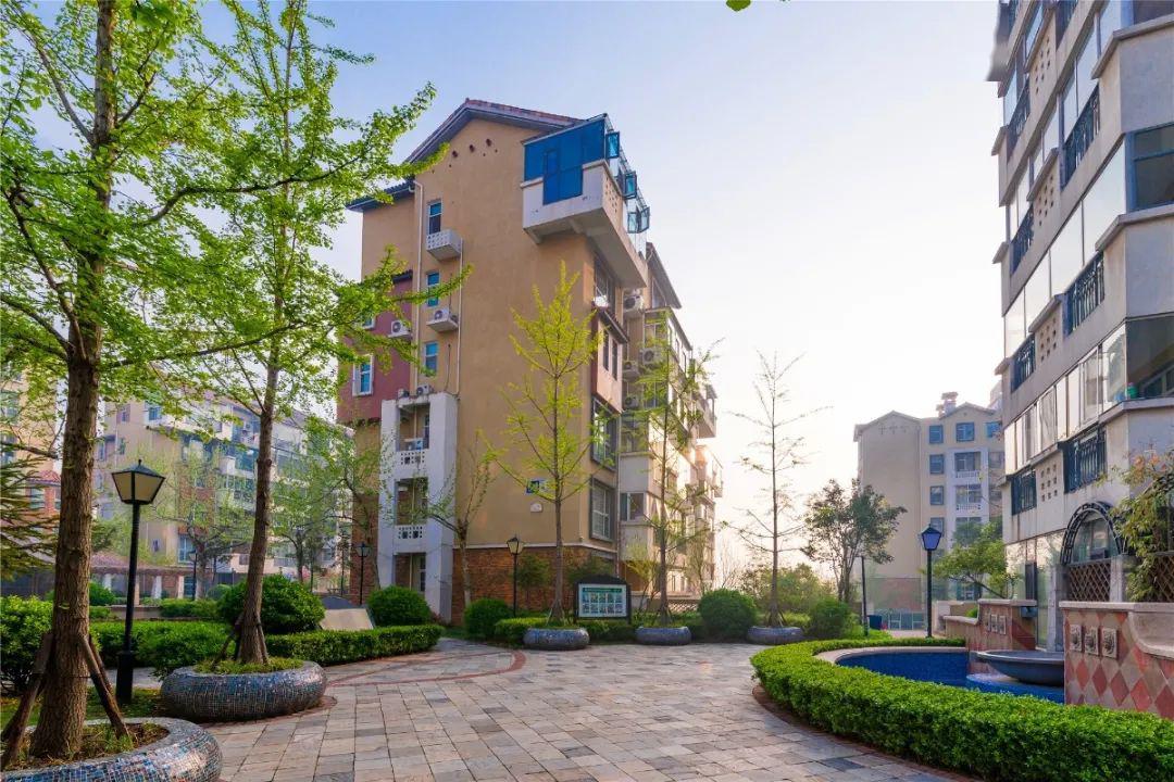 四月丨春已来花已开万物可期