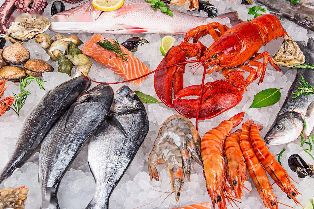 吃海鲜一定比吃肉更低碳吗可持续地吃