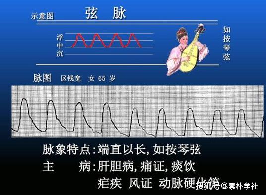 脉诊的核心部分正常脉象与病理脉象各是什么触感