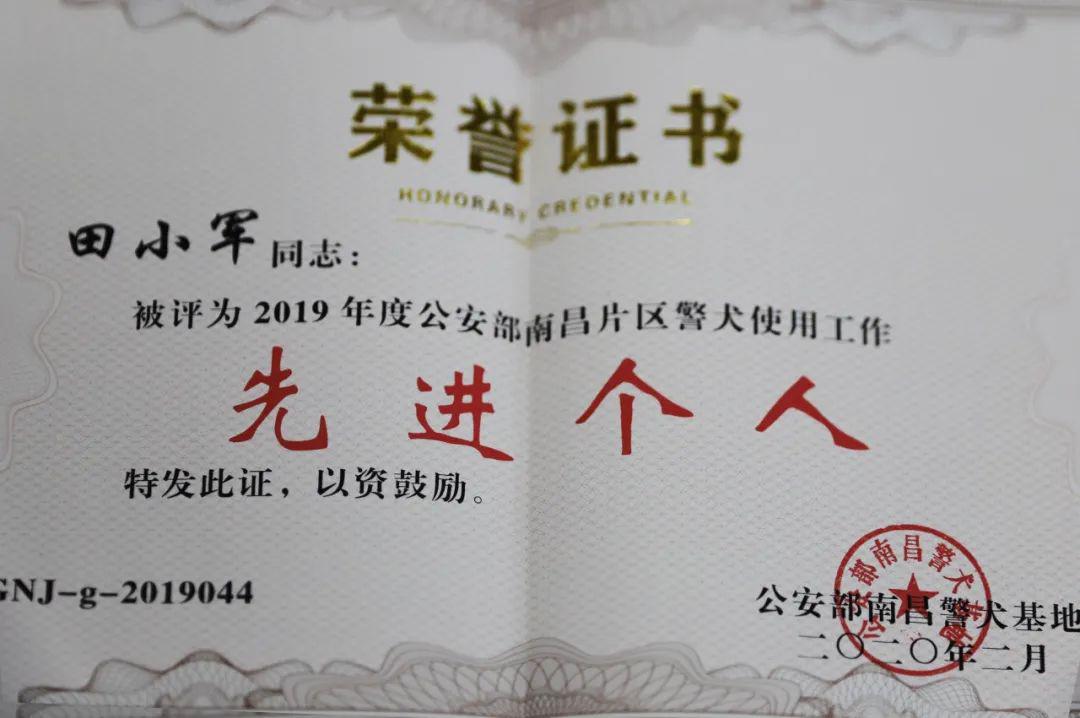 代号山鹰慈利首只警犬获公安部授勋