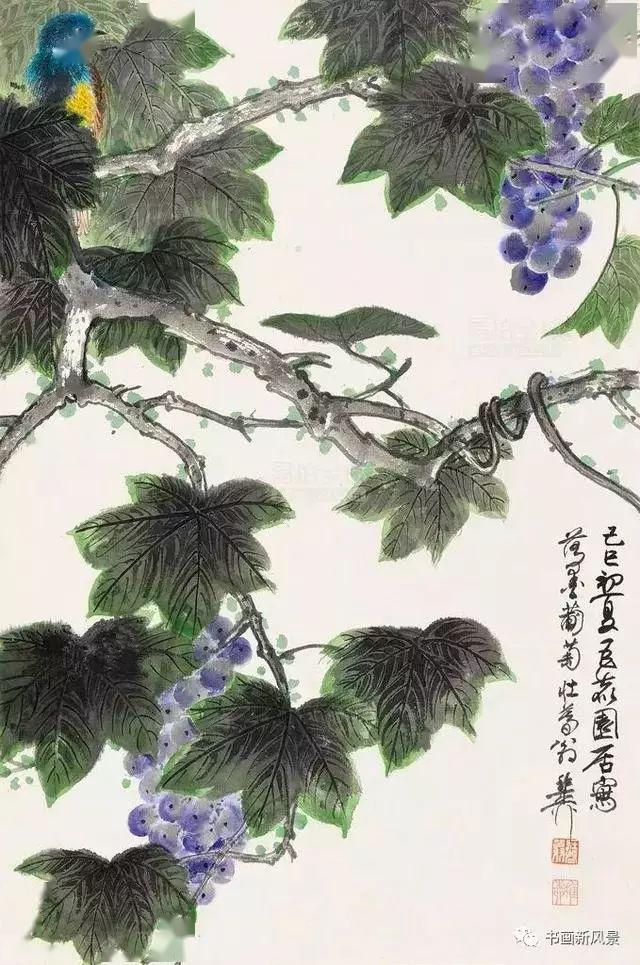 谢稚柳的落墨葡萄别有风味
