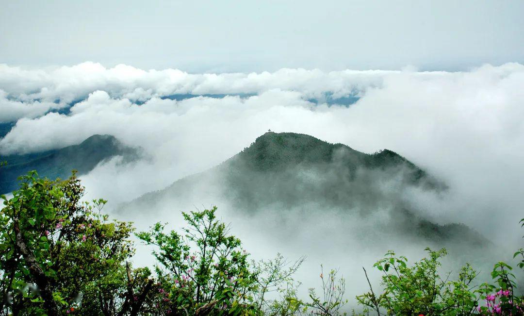 陽明山盛春在綠意繁花的地方氧護身心