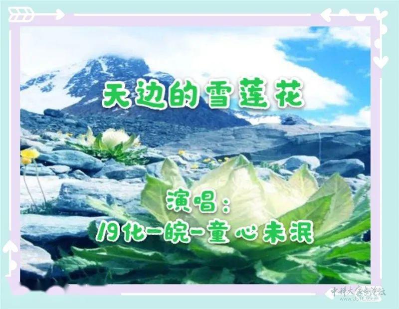 歌曲《天边的雪莲花》 演唱者:19化 合-童心未泯雪莲花(common snow