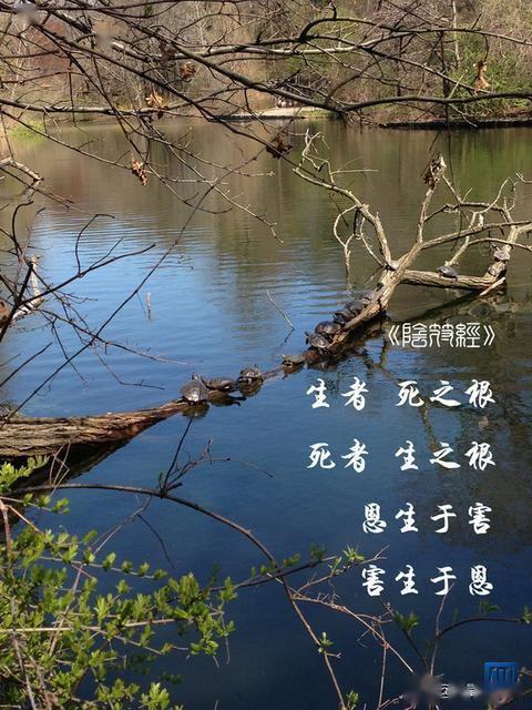 淫慢则不能励精,险躁则不能冶性.