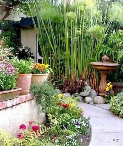 小庭院,绿植如何搭配才完美!