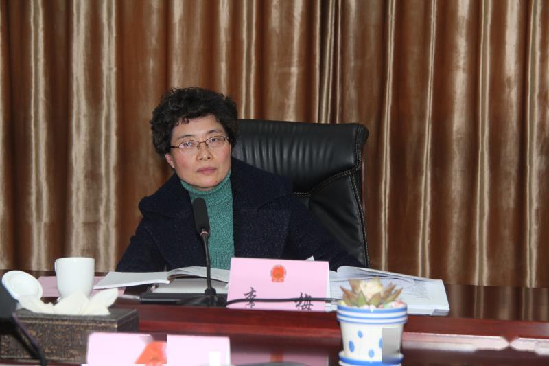 李梅,县人大常委会党组书记,主任林进,县委常委,常务副县长王宁参加