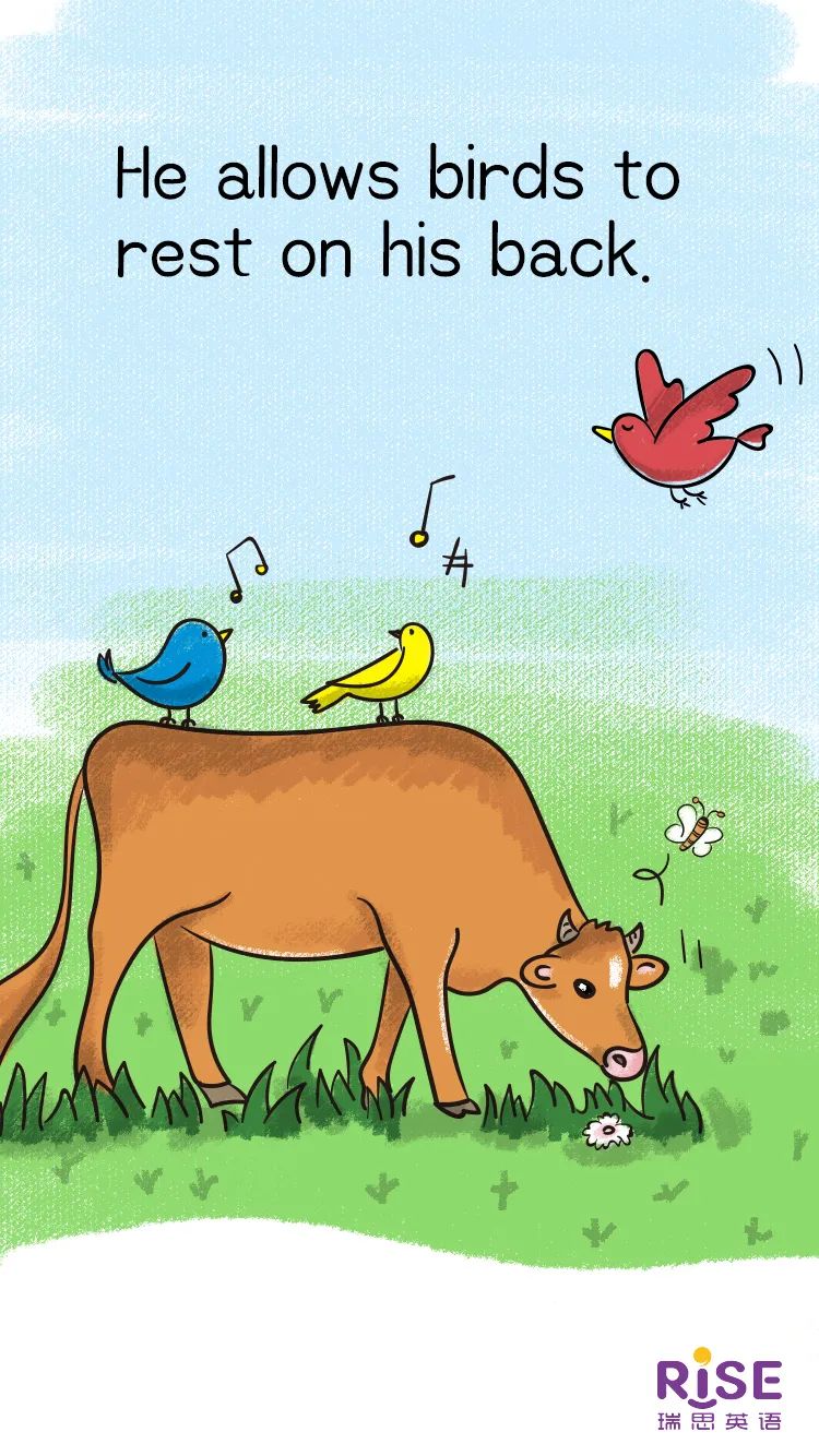 要给大家介绍的好朋友称为"老黄牛一样的人"我们也经常把任劳任怨