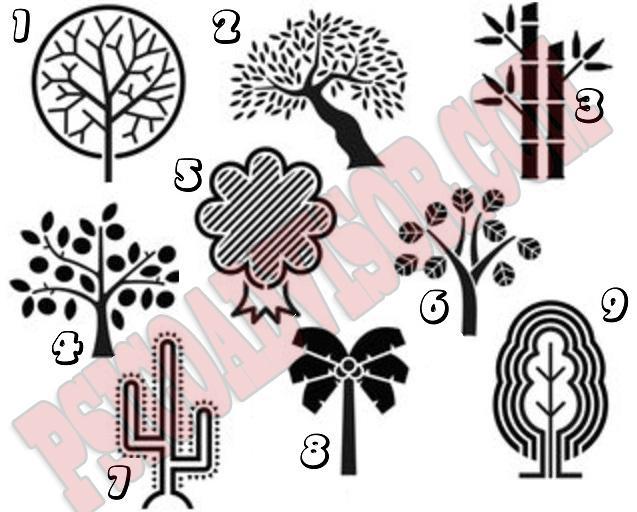 选择一棵你喜欢的树木它能揪出你的负能量来源