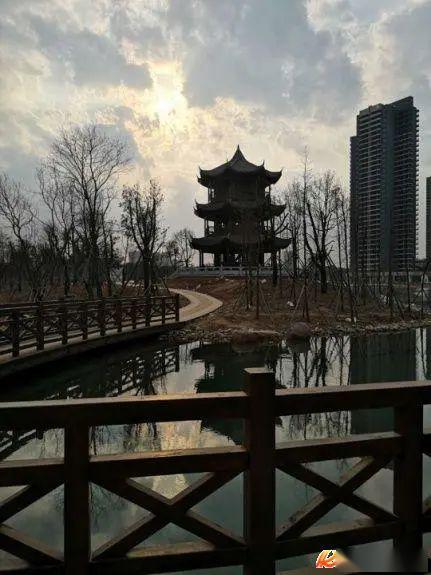 行走在状元湖湿地公园_华容