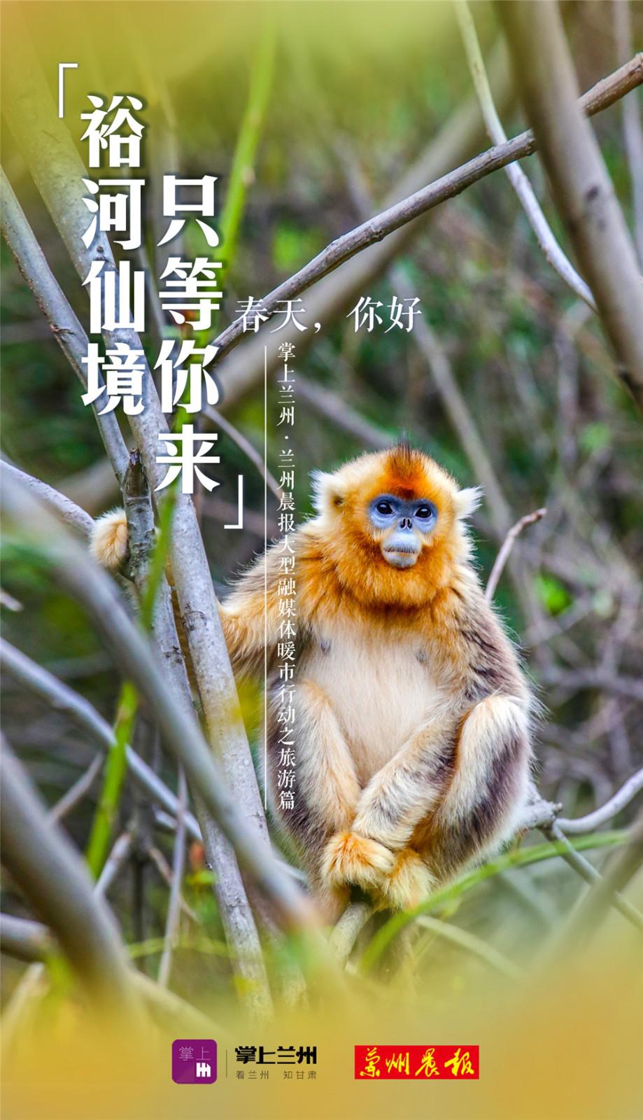 海报丨春天陇南秘境只等你来