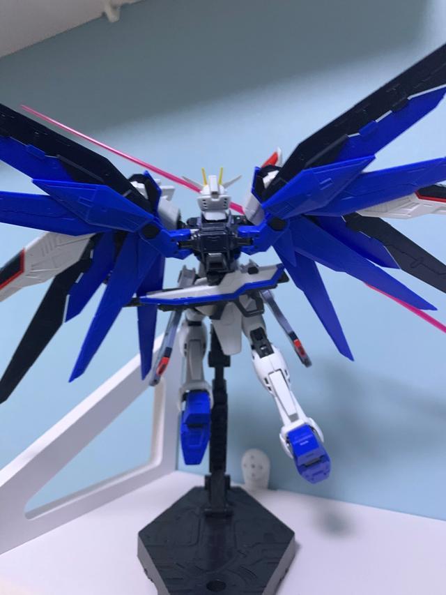 90后伪大叔入坑第二弹,哀其不幸怒其不争!高达rg自由浅评测!