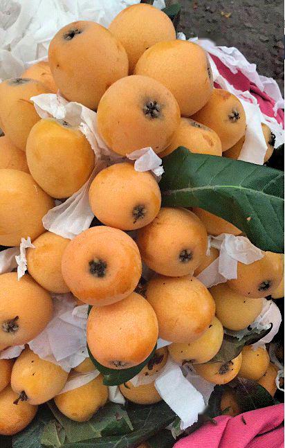 团购福建云霄土枇杷酸甜爽口润喉润肺邀您品尝