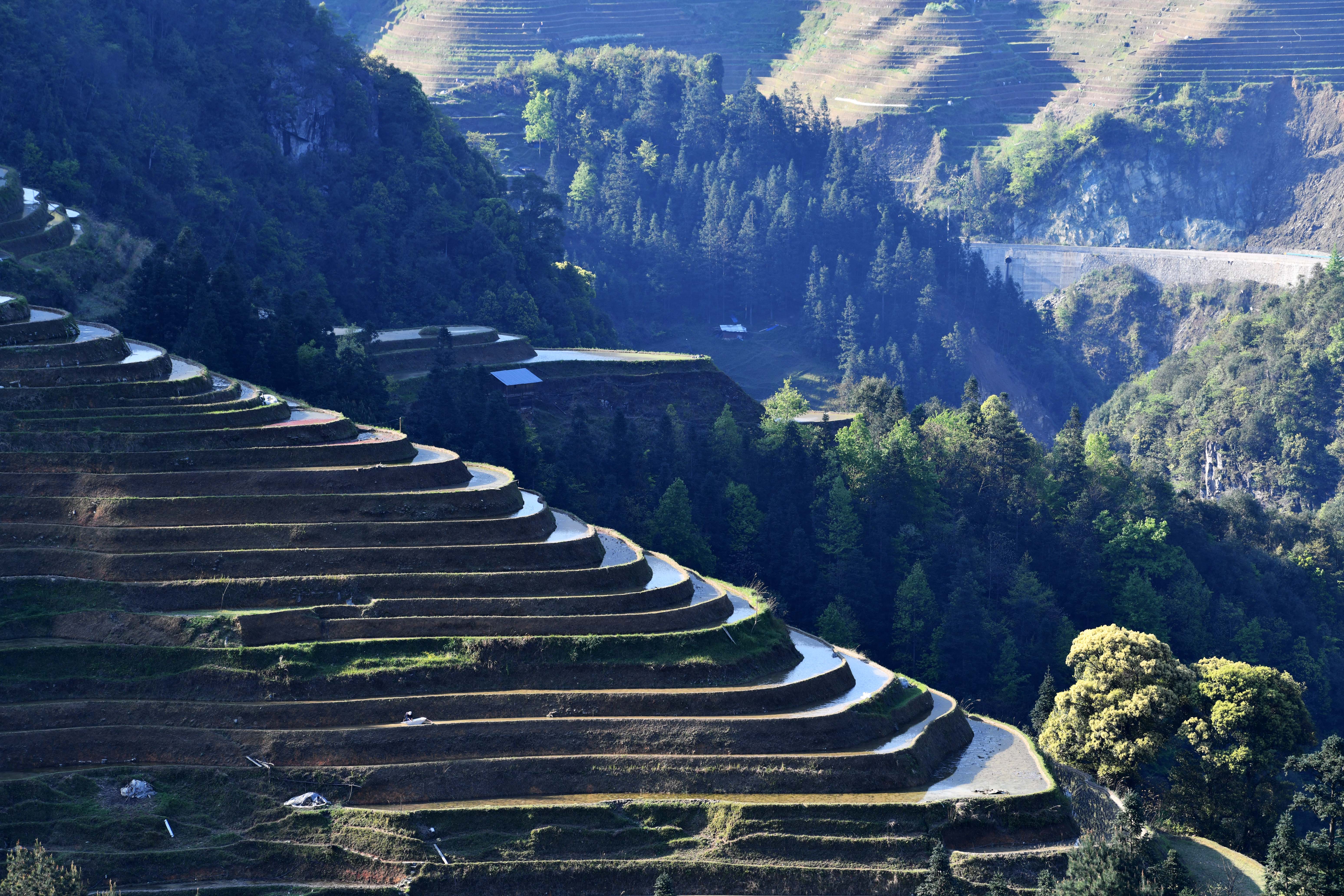 大山梯田图片大全图片