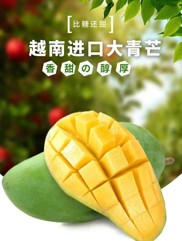 399元抢5斤越南大青芒肉多汁甜承包芒果控的胃