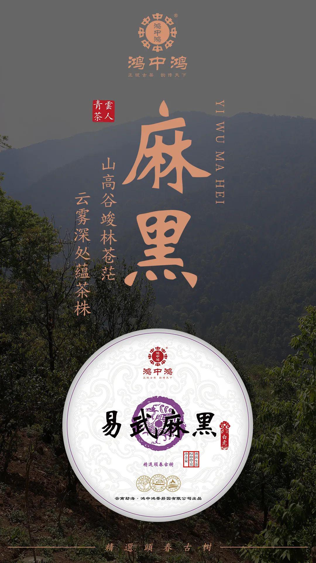 易武麻黑古树茶 | 历经险阻,成就一方好茶