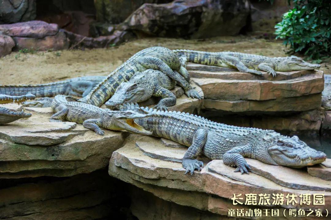 吃亏是福做人有时还是糊涂一点的好