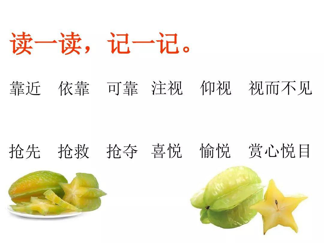 部编版语文二年级下册第13课《画杨桃》 视频 朗读 笔顺 听写 图文