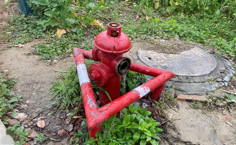 从图片可以看出,路边的消防栓一直在哗哗漏水,无人问津.