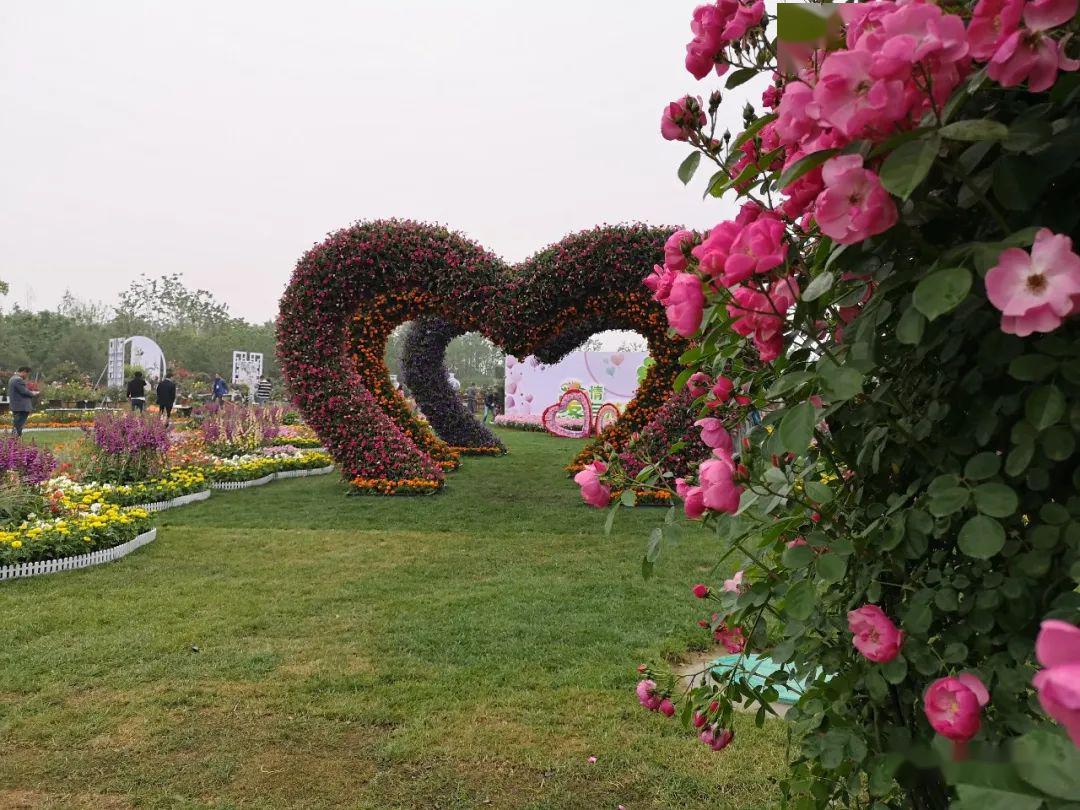 南阳首届世界月季博览会将推迟至明年5月举办
