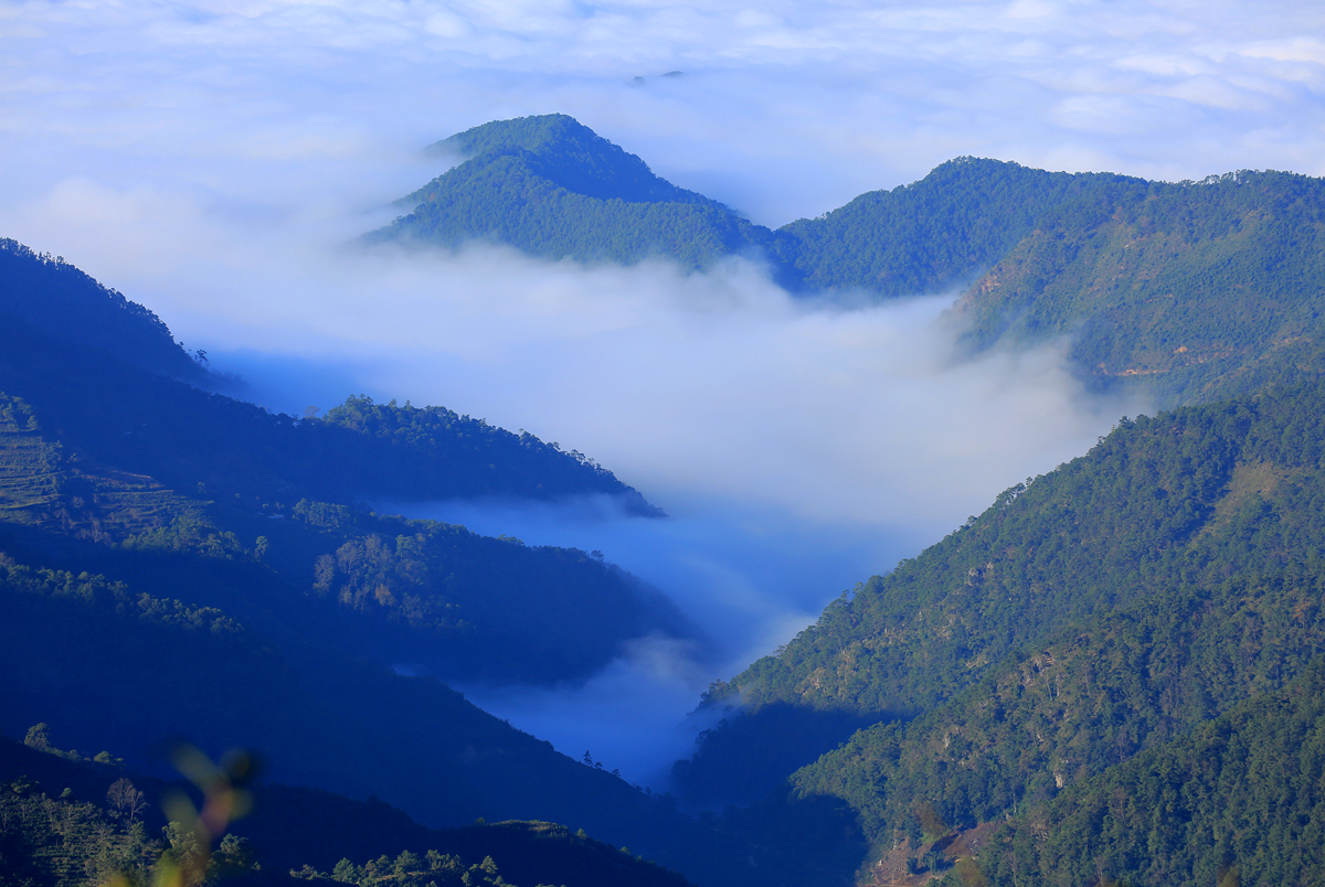 云南大理无量山赏花观鸟好地方清明小长假我们一起去野