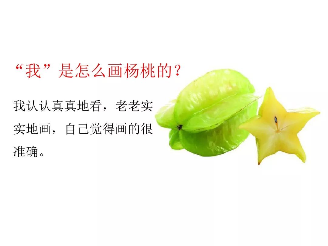 《画杨桃》 视频 朗读 笔顺 听写 图文解读 同步练习_课文