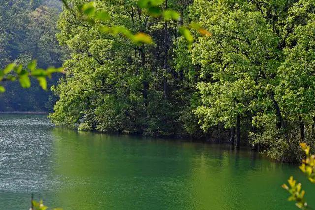 始建于1956年罗平白腊山下的玉带湖你去过吗