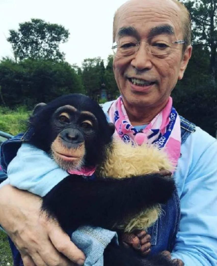 志村动物园》,「志村大爆笑」节目创下高收视率.